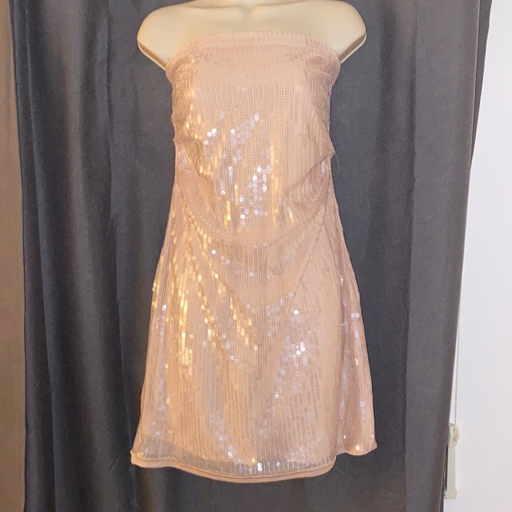Sequins Blush color Zara strapless dress
